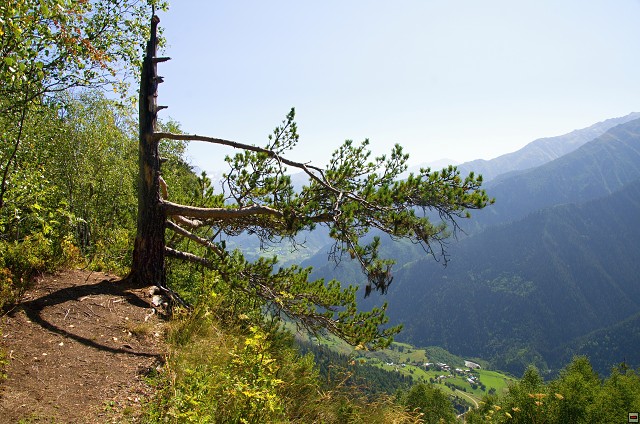 img00013.jpg