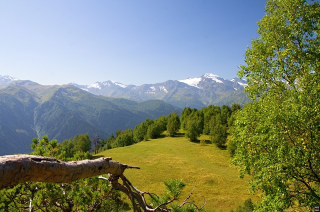 img00014.jpg