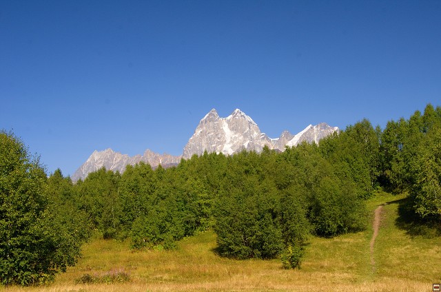 img00015.jpg
