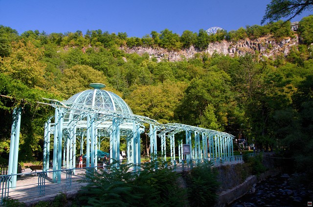 img00007.jpg