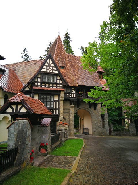 img00006.jpg