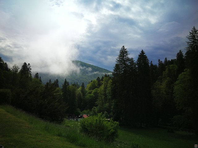 img00008.jpg