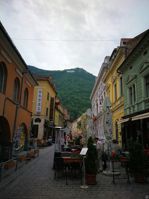 img00019.jpg
