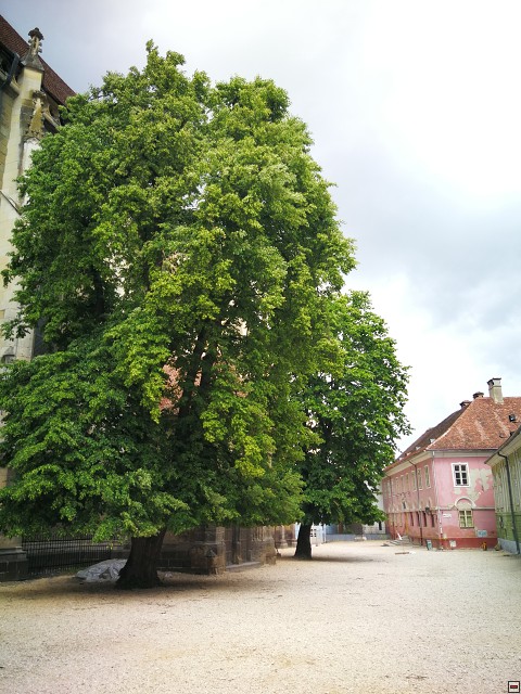 img00022.jpg