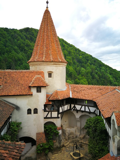 img00026.jpg