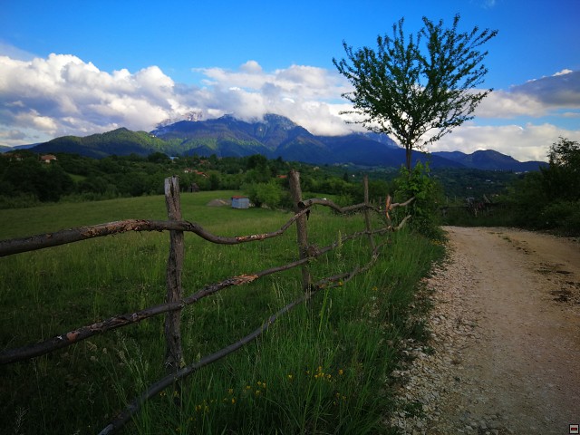 img00033.jpg