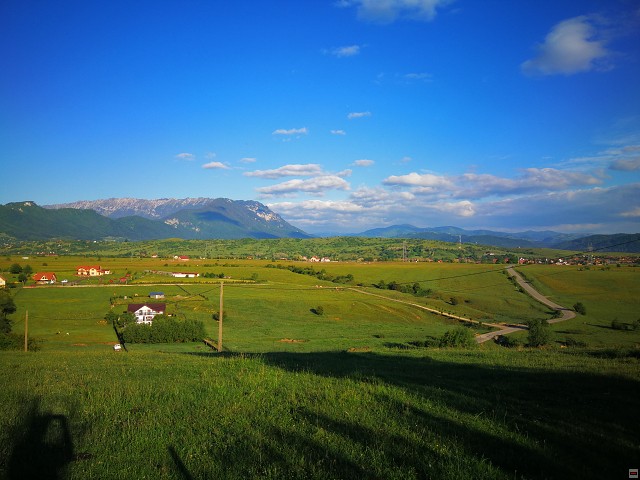 img00003.jpg