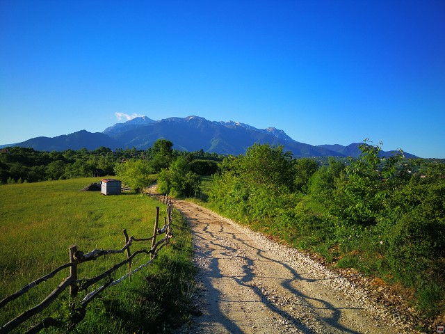 img00007.jpg