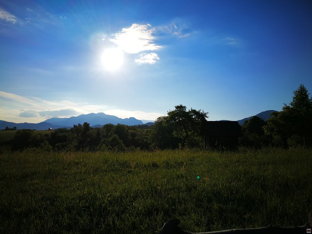 img00008.jpg