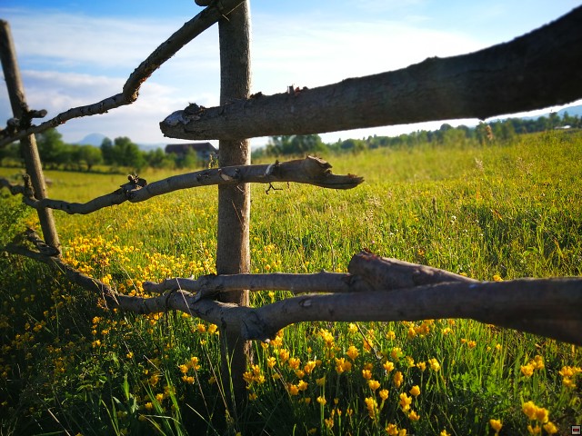 img00011.jpg