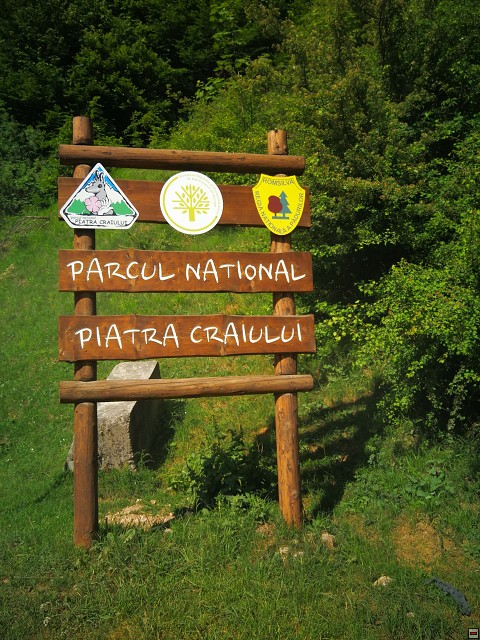 img00012.jpg