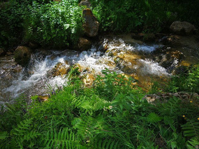 img00013.jpg