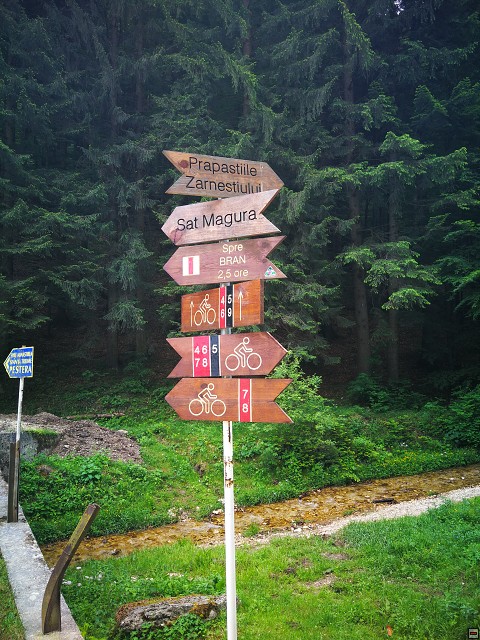 img00016.jpg