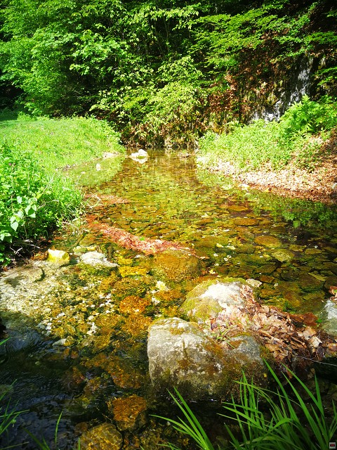img00017.jpg