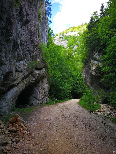 img00019.jpg