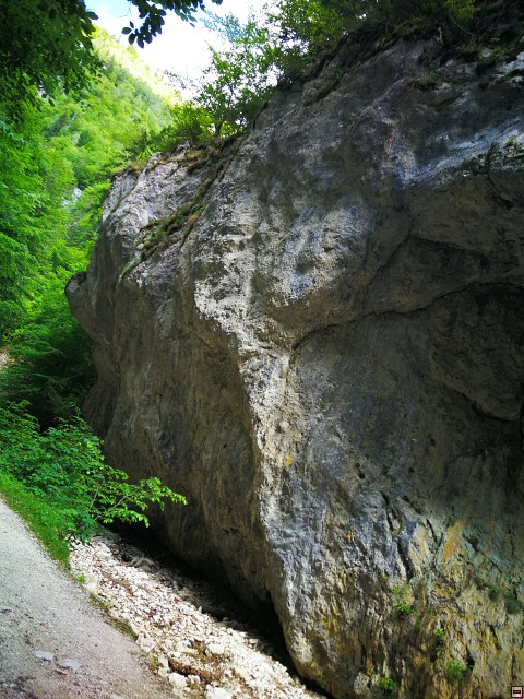 img00020.jpg
