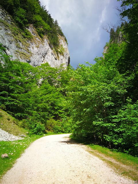 img00022.jpg