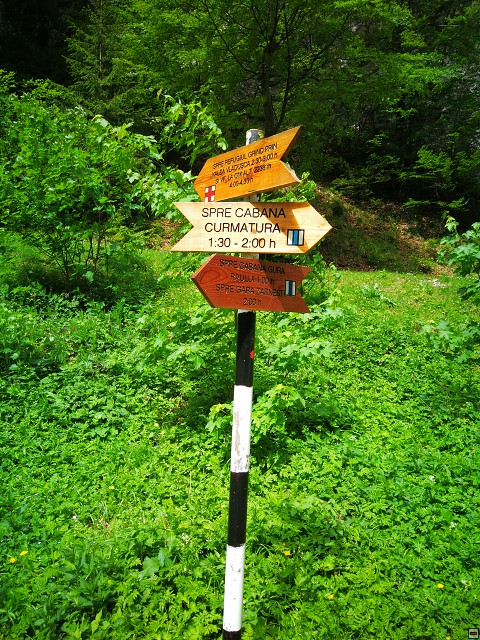 img00024.jpg