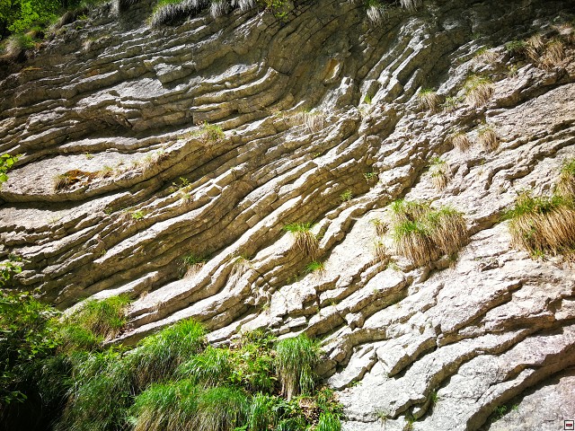 img00026.jpg