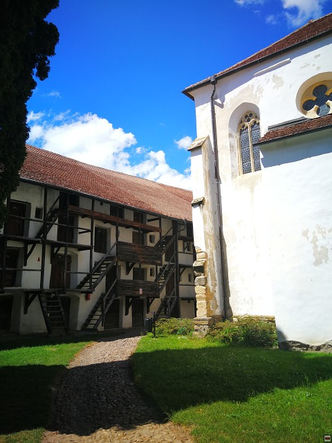 img00036.jpg