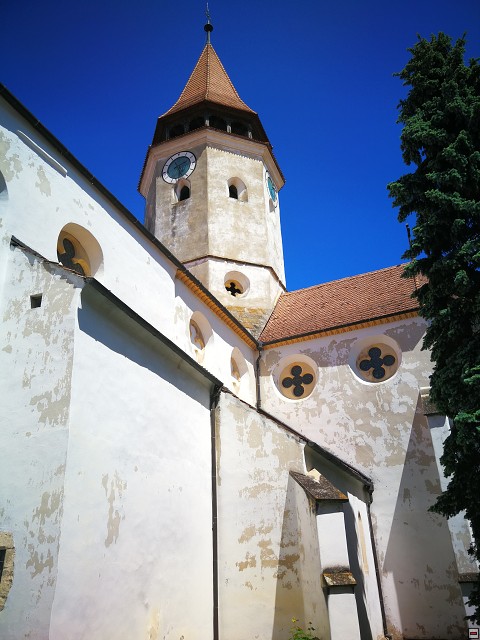 img00037.jpg