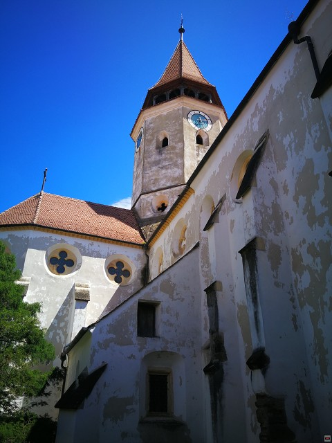 img00040.jpg