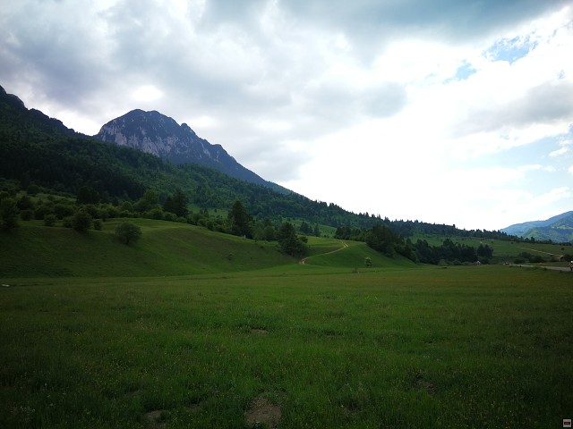 img00051.jpg