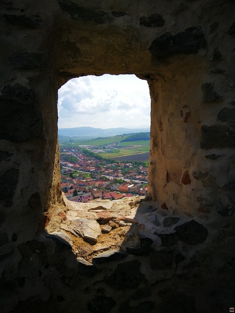 img00010.jpg