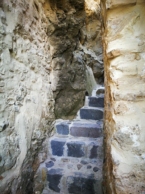 img00013.jpg