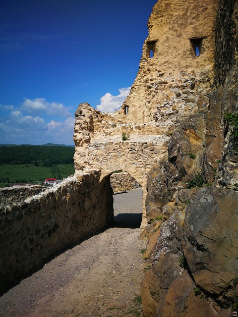 img00016.jpg