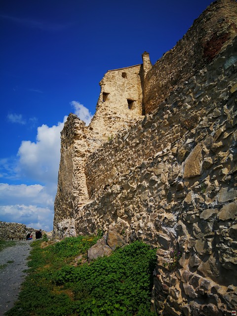 img00018.jpg