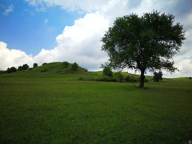 img00024.jpg