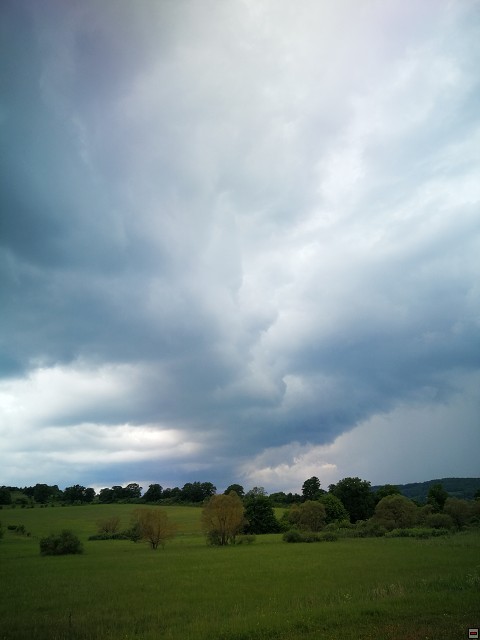 img00028.jpg