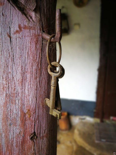 img00036.jpg