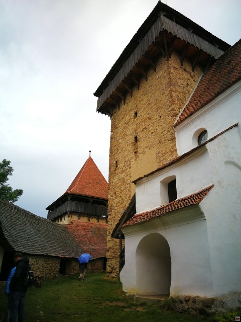 img00038.jpg