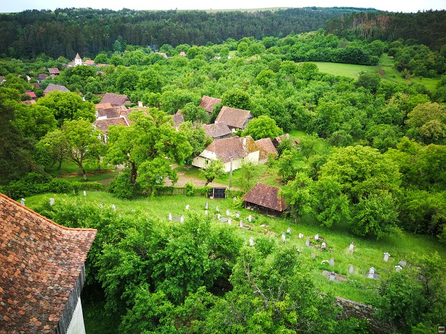 img00040.jpg