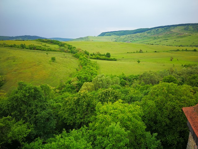 img00041.jpg