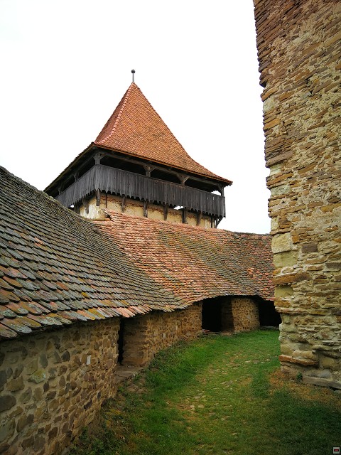 img00042.jpg
