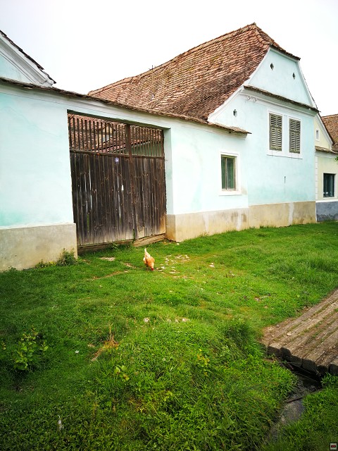 img00055.jpg