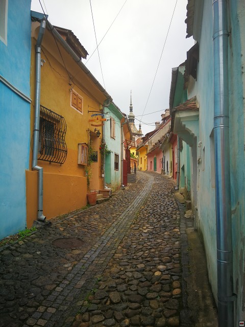 img00064.jpg