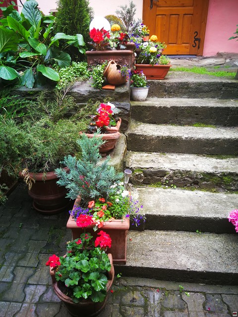 img00067.jpg