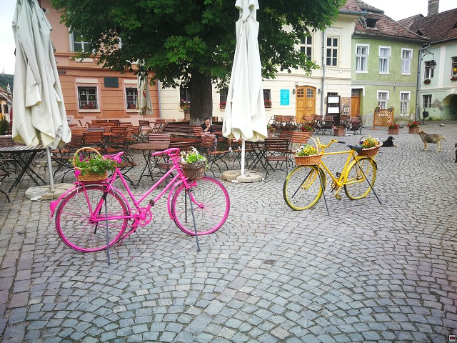 img00069.jpg