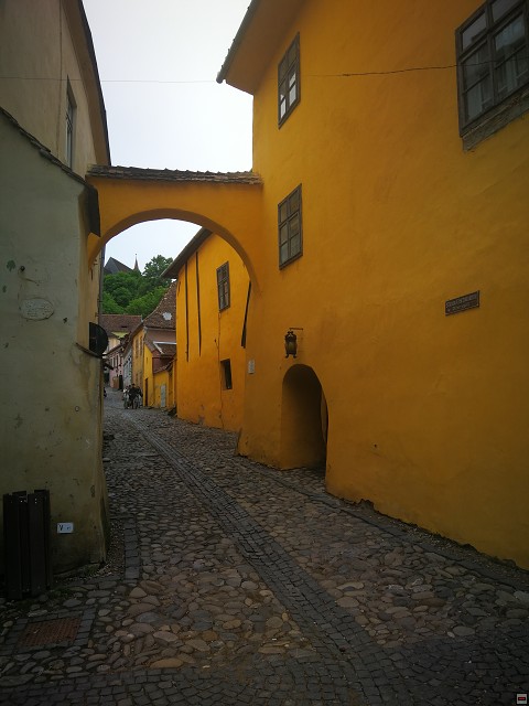 img00075.jpg