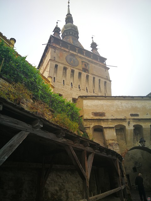 img00081.jpg