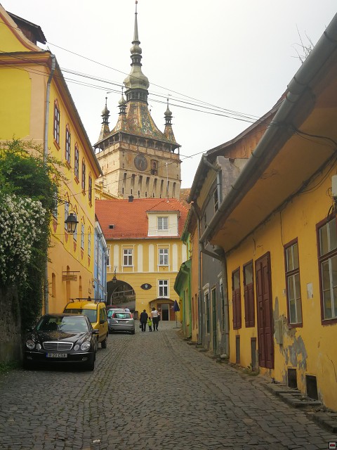img00083.jpg