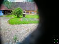 thn00060.jpg