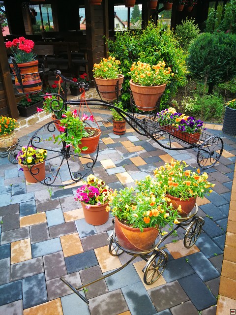 img00002.jpg