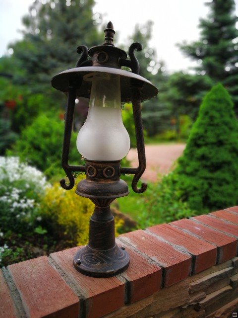 img00003.jpg