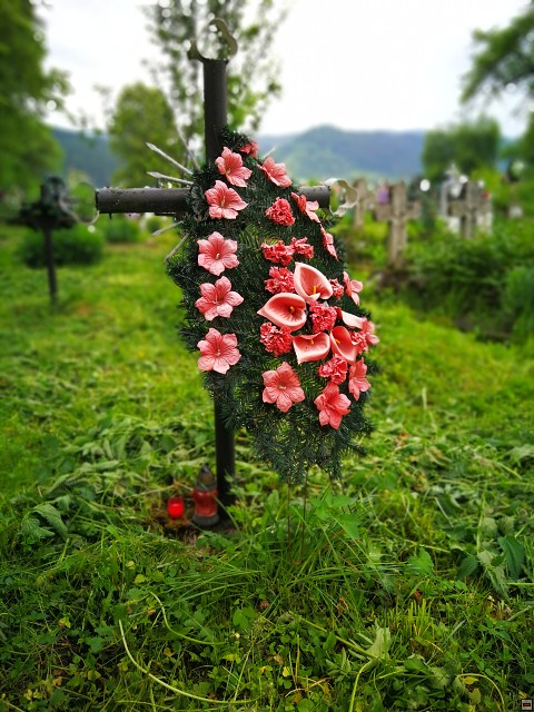 img00025.jpg