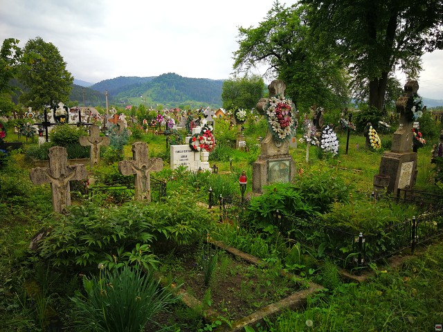 img00026.jpg